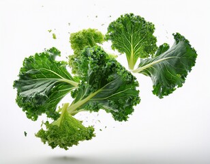 fresh green leafy kale leaves in mid air isolated on white