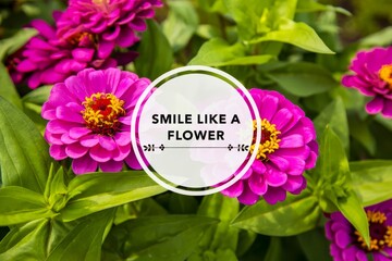 Smile like a flower with a flower background.