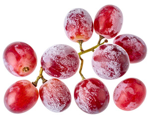 Obraz premium Frozen red grapes bunch covered with frost and ice crystals fresh fruit closeup on isolated background