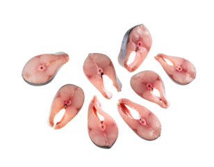 Raw fish steak slices arranged in circular pattern, fresh uncooked seafood cross section cuts for cooking and meal prep on isolated background
