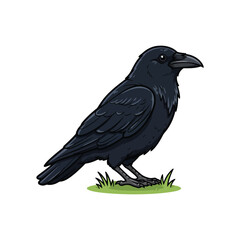 Fototapeta premium Crow Vector on White, Black Bird EPS Illustration