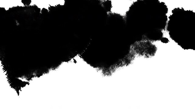 Abstract Dark Ink Shapes on White Background
