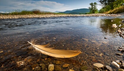 golden feather bobbing atop flowing river near pebbled shore and rippling current style simple color