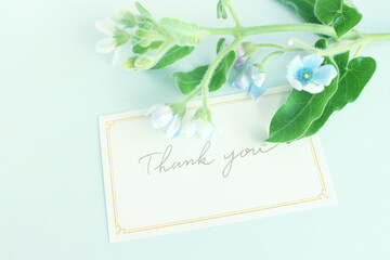 青い花とサンキューカード