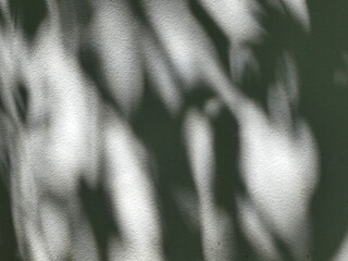 The shadows of leaves and branches on a concrete floor are natural.