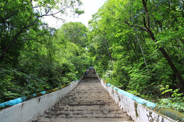 High-angle view of tourists walking down a long, weathered concrete staircase surrounded by a dense green forest, leading down a steep hill.