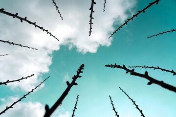 barbed wire against blue sky