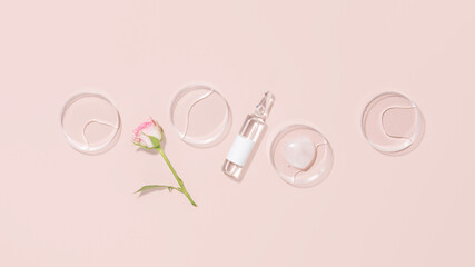 Transparent Laboratory Petri Dishes and Glass Ampoule with Rose on Pastel Background. Concept of Botanical Research, Clinical Skincare, and Scientific Extraction of Flower Essence for Beauty Visuals