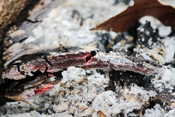 Charred Wood Piece Amid Ashes and Remnants from a Campfire