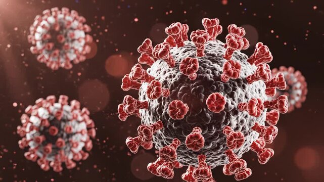 Coronavirus particles under microscope