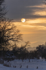 winter sunset over silhouette of trees in a natural preserve called Lauteracher Ried in Vorarlberg Austria