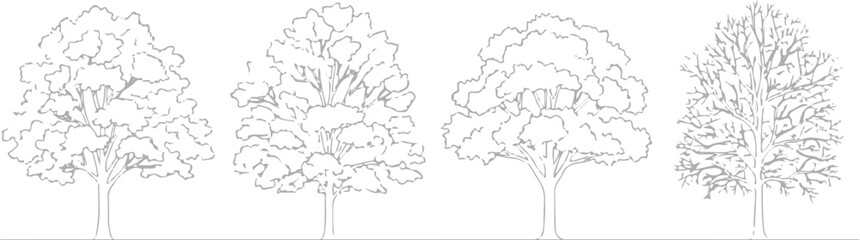 Obraz premium Set of 4 Outline Tree Illustrations Vector