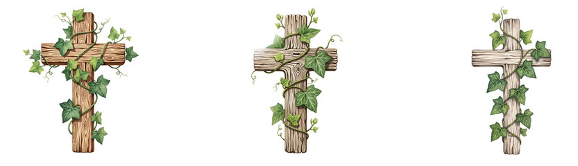 Three wooden crosses adorned with green ivy leaves on transparent background