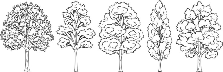 Fototapeta premium Set of 5 Outline Tree Illustrations Vector