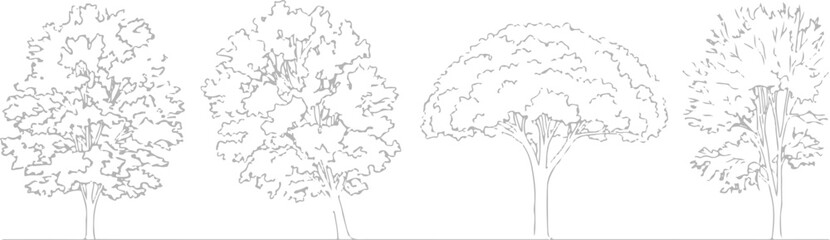 Fototapeta premium Set of 4 Outline Tree Illustrations Vector