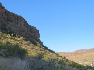 Obraz premium desert mountain landscape with blue sky, cactus in the evening in Mexico, San Luis Potosi