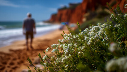 Solitude on the coastal cliffs