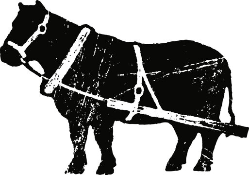 Black silhouette of a draft horse harnessed for pulling work with visible straps and yoke