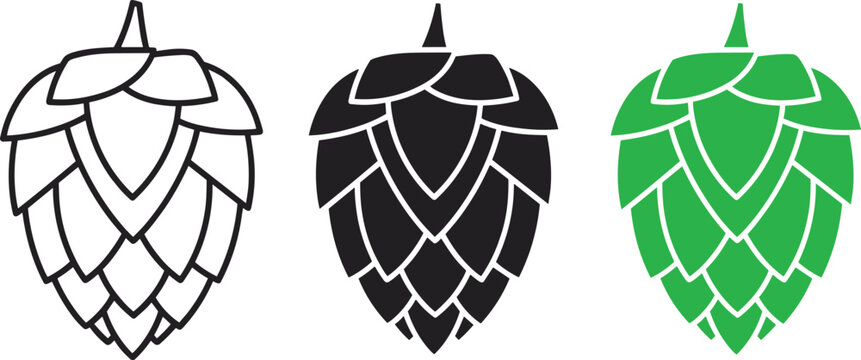 Green hops plant icon set in outline silhouette and colorful flat styles for beer brewery and organic herbal product design