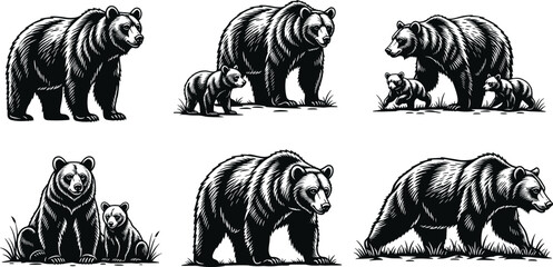 Bear family illustration set isolated on white background wildlife nature animal engraving style mother and cubs forest concept © Moslama