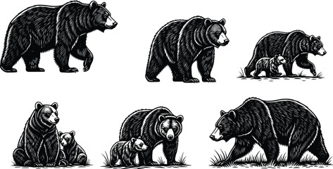 Bear family illustration collection isolated on white background wildlife nature animal engraving style mother bear with cubs forest scene © Moslama