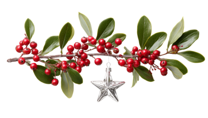 Close-up of branch with berries, green leaves, and silver star ornament
