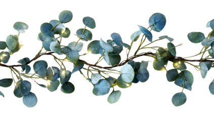 Eucalyptus garland with round, blue-green leaves and tiny fairy lights, black background