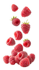 Falling Fresh Red Raspberries Pile isolated on transparent background