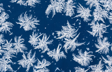Macro photograph of delicate ice and hoarfrost crystals forming natural snowflake patterns on a deep blue winter background, ideal for seasonal, cold, and abstract concepts. © Tryfonov