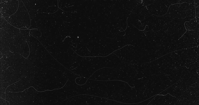 Dust and Scratches Overlay Video. High-quality 4K backgrounds are perfect for a variety of creative projects.