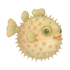 Fototapeta premium PNG Whimsical pufferfish illustration art.