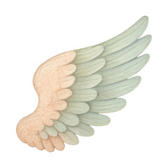 Fototapeta premium PNG Elegant angelic wing illustration