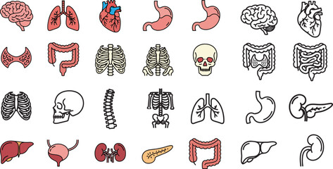 Vector Anatomy Organ Icon Set with Bold Line Art Medical Symbols of Human Body Parts Brain Heart Lungs Stomach Liver Kidney Bladder Pancreas Spine Intestine Thyroid Ribs Skeleton Skull Illustration