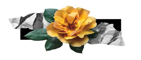 Yellow rose with crumpled paper collage and green leaf texture, warm floral elegance