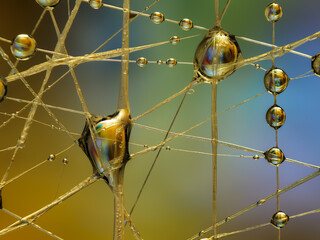 Water drops on an artificial spiderweb. Dynamic colorful background, abstract patterns and shapes. Macro still life photography