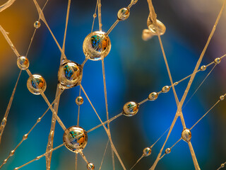 Water drops on an artificial spiderweb. Dynamic colorful background, abstract patterns and shapes. Macro still life photography
