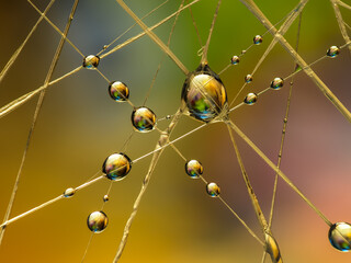 Water drops on an artificial spiderweb. Dynamic colorful background, abstract patterns and shapes. Macro still life photography