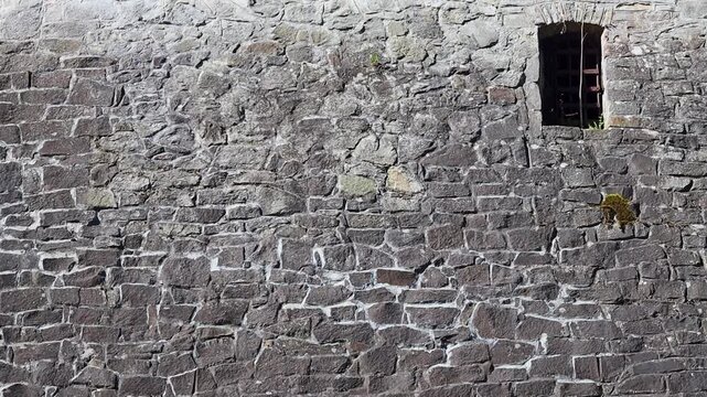 Old stone masonry wall with a small window opening in an abandoned historic structure. Textured architectural background showing age, decay, and historical character. Ideal for concepts of history, so