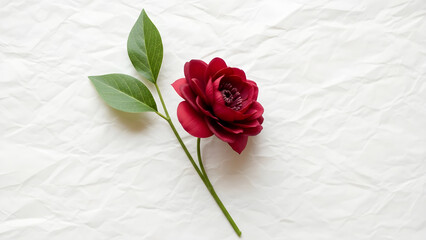 pink rose on white paper, Elegant Red Flower with Green Leaves on a Crumpled White Paper Background
