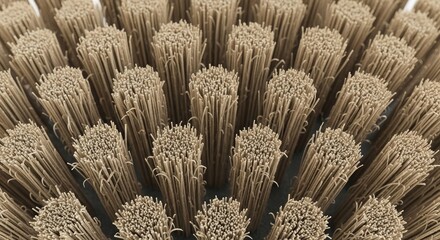 Close Up Macro View of Beige Bristles of a Scrub Brush Forming an Abstract Pattern