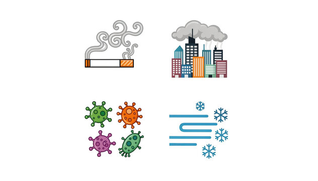 Highresolution image showcasing individual simple icons representing chronic bronchitis triggers such as smoke air pollution pathogens and cold air isolated on white background