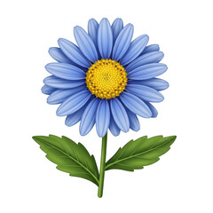 Blue daisy flower isolated on transparent background