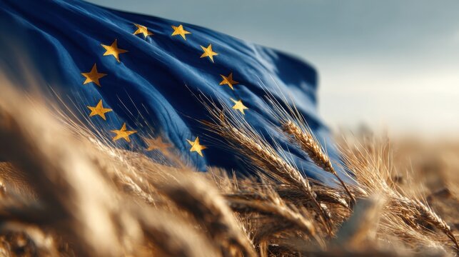 European Union flag waves among golden wheat fields during sunset near a rural landscape in summer months reflecting agriculture and unity