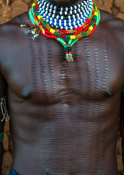 Maze whipper with scarifications on the chest to indicate he killed a man, Omo valley, Turmi, Ethiopia