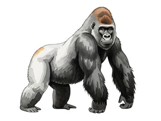 An illustration of gorilla in black and white with brown spot back.