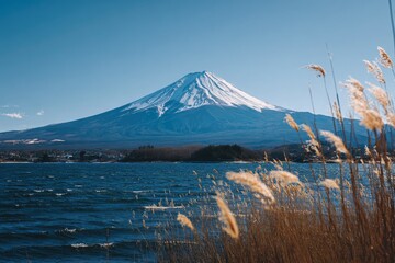 Majestic snow-capped mountain overlooking a serene lake with reeds in the foreground
