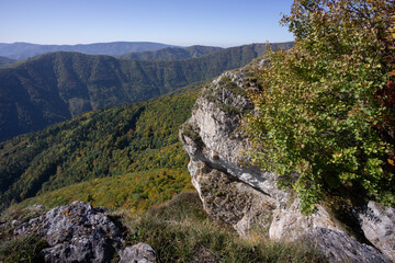 View of rocky outcrop adorned with autumn foliage overlooking a valley blanketed in lush green forests under a clear blue sky, Velka Fatra, Banskobystricky kraj, Slovakia.