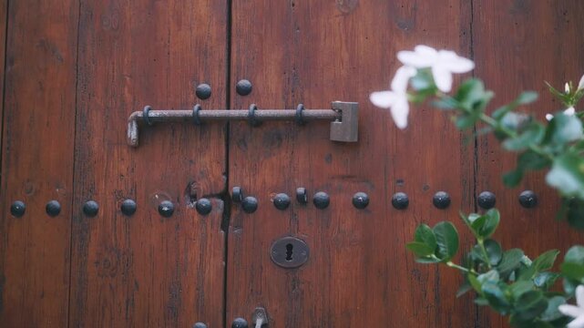 porte ancienne bois Ibiza