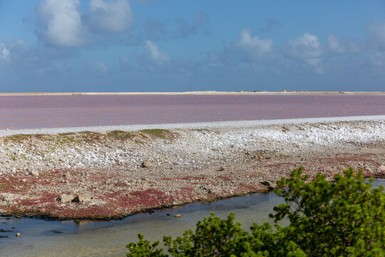 Zoutwinning op Bonaire is een eeuwenoude industrie, bekend om de roze zoutpannen (het Pekelmeer) in het zuiden