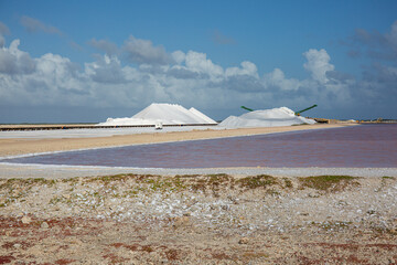 Zoutwinning op Bonaire is een eeuwenoude industrie, bekend om de roze zoutpannen (het Pekelmeer) in het zuiden © ArieStormFotografie